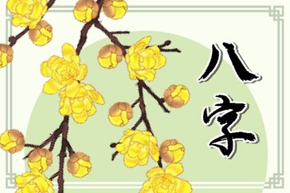 流年命盘查询,测算命运运势,运程八字算命