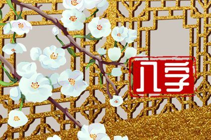 易理与四柱：互补视角