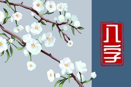 数字化排盘时代