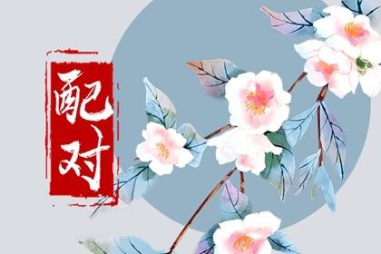 本命盘测试 命盘计算器 看紫微斗数 紫微星辰排盘