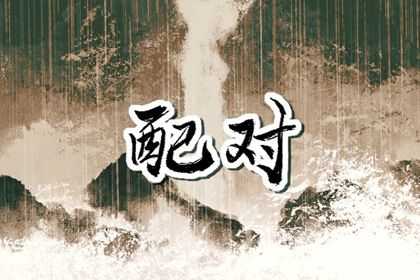 纳音配对:比和、相生与平衡