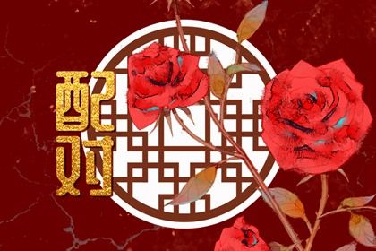 五行互补与合盘齐全