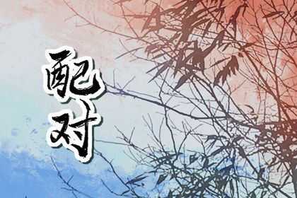 流年合婚:动态视角