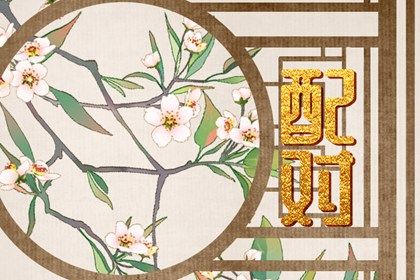 合婚生肖配对_合八字结婚_姻缘模板_姓名匹配姻缘