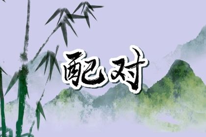 感情与婚姻的关系