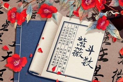 十二宫参考格用法