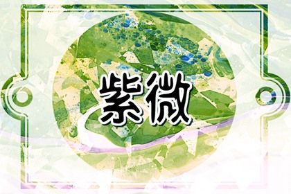 常见紫微误区