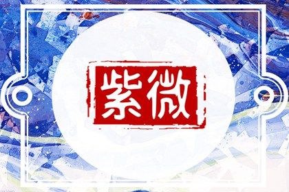 在线排盘看什么